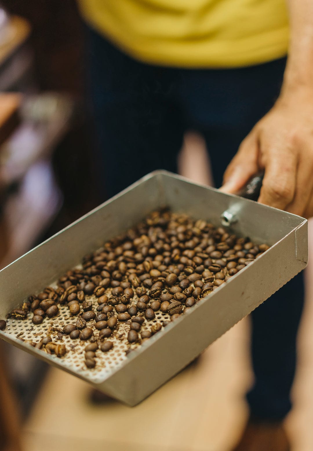 Britt Coffee Tour photo 4