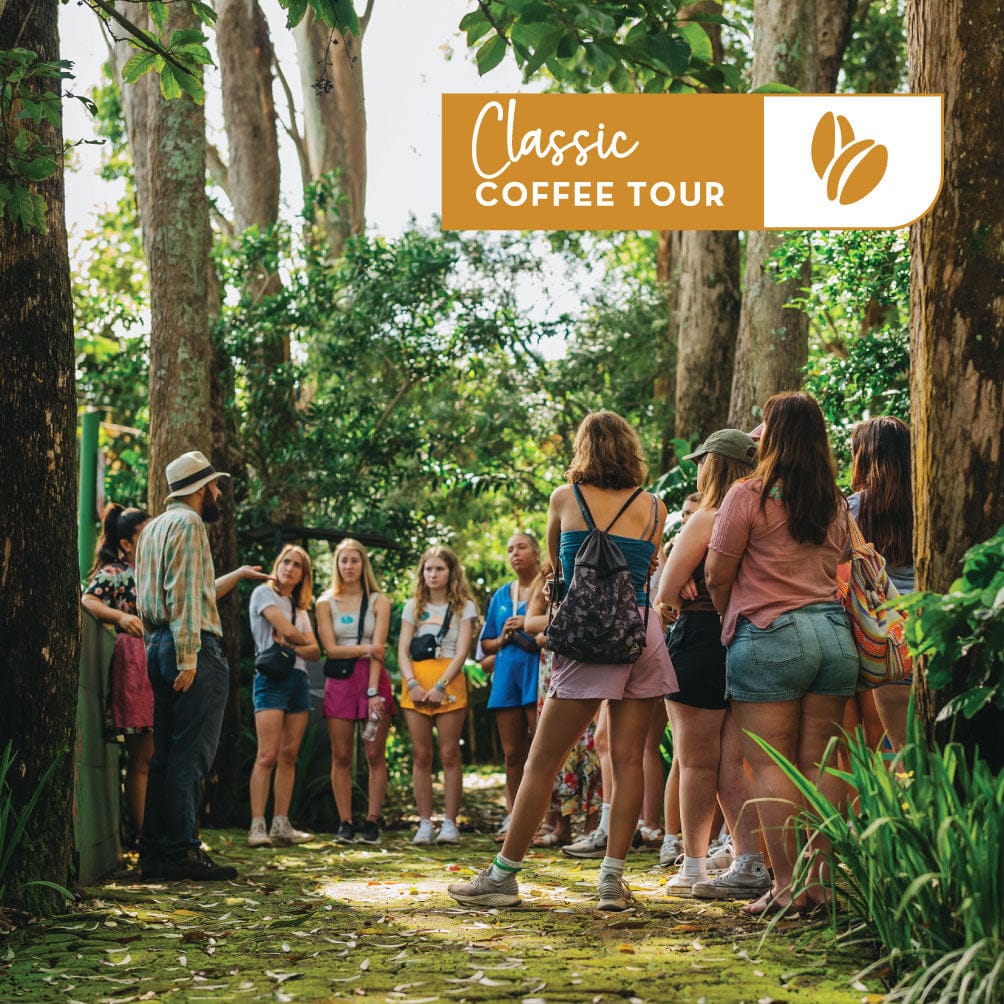 Britt Coffee Tour photo 7