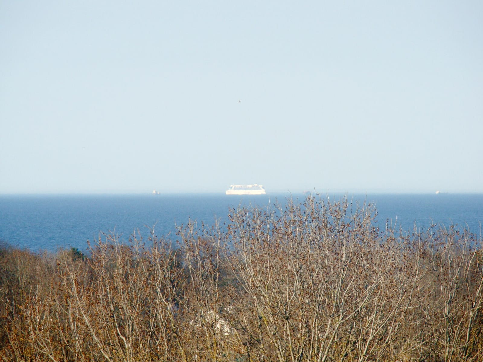 Za Cafino photo 2