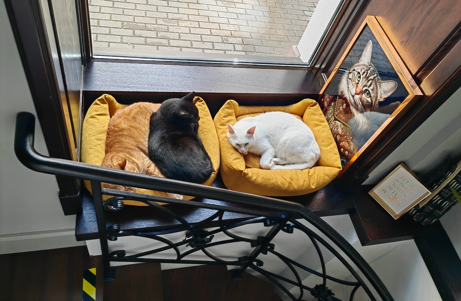 Mr. Kotoffski Cat Cafe museum