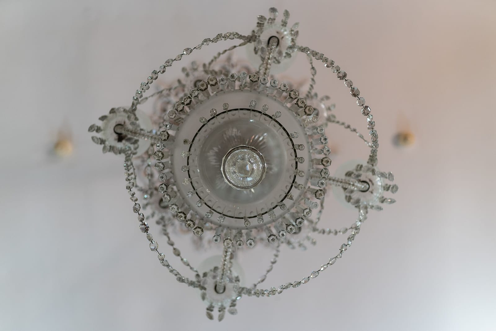 Lemongrass Tea Room and Herbal Cafe photo 5