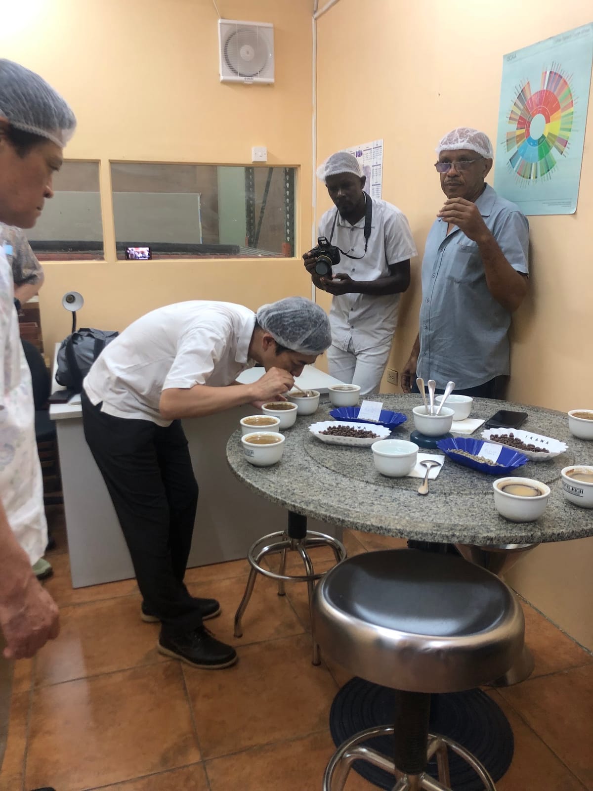Jamaica Coffee Corporation Limited