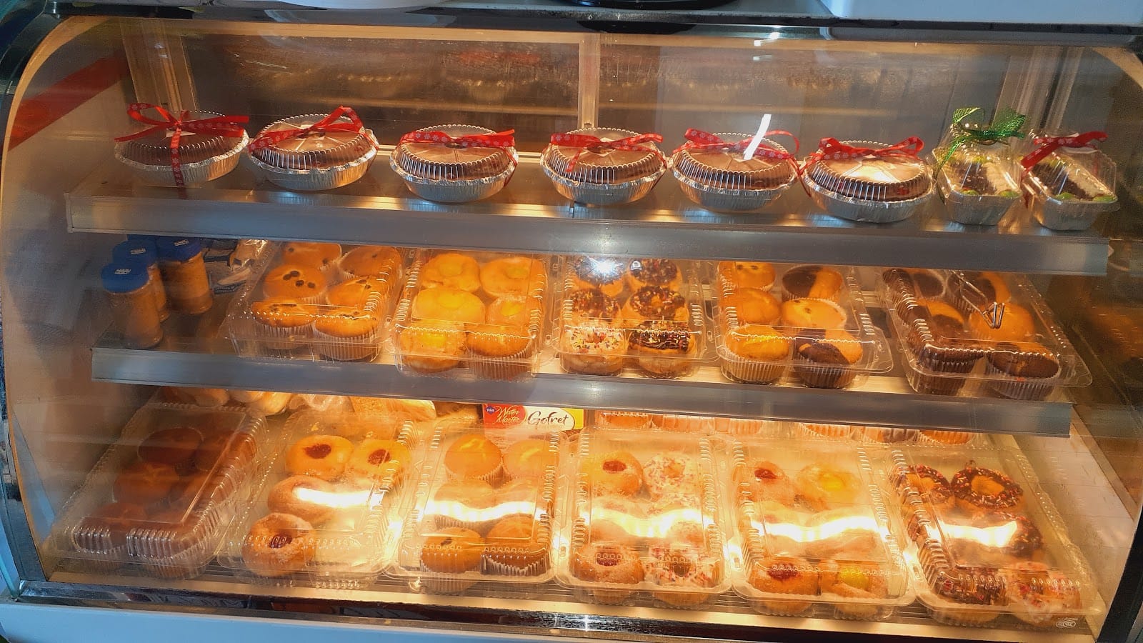 SUN CONURE CAFE