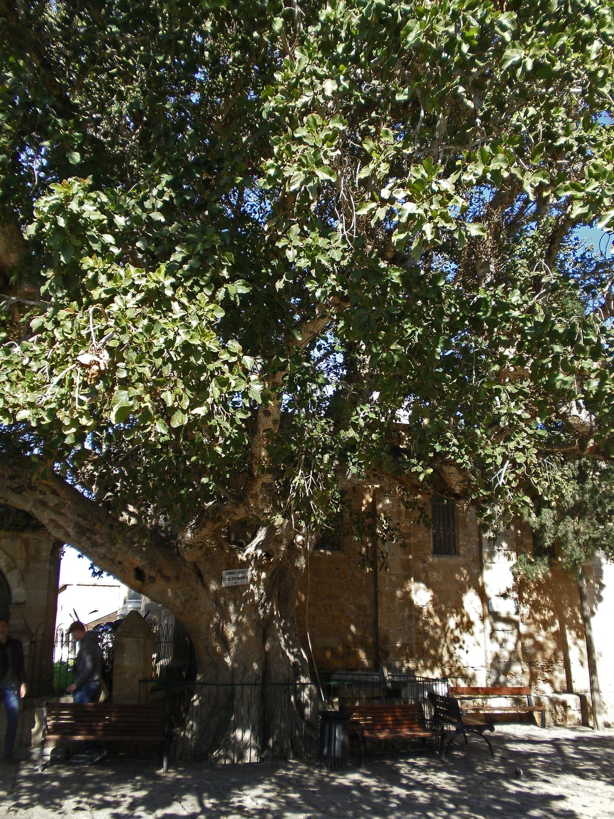 Publik Cafe & Bar photo 5