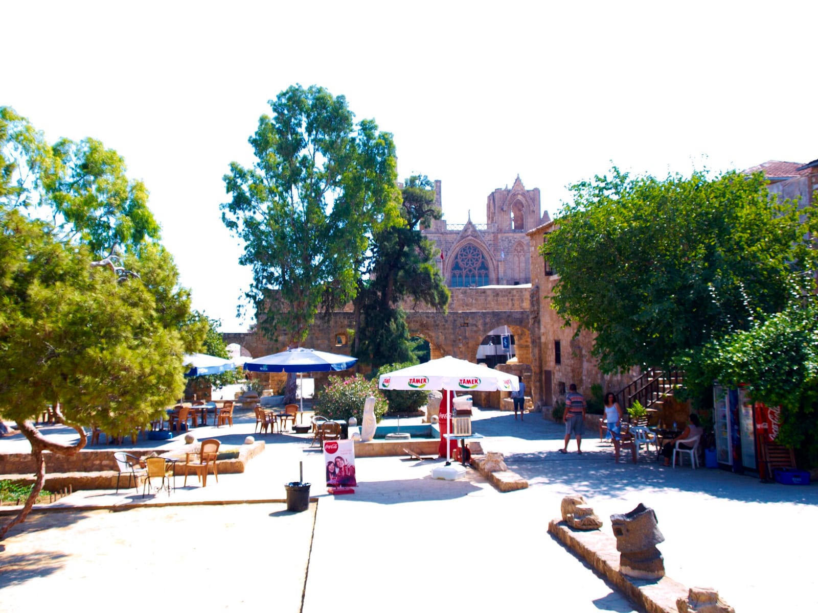 Ave Grande photo 5
