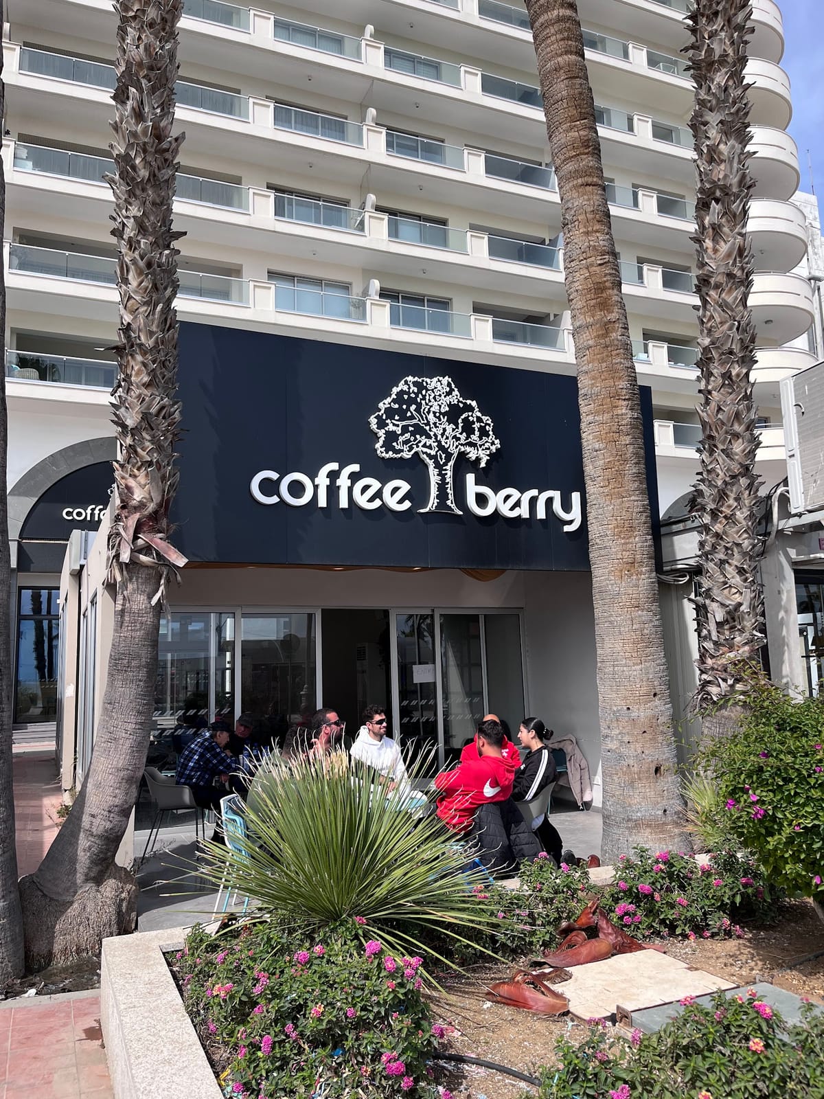 Coffee Berry Φοινικούδες