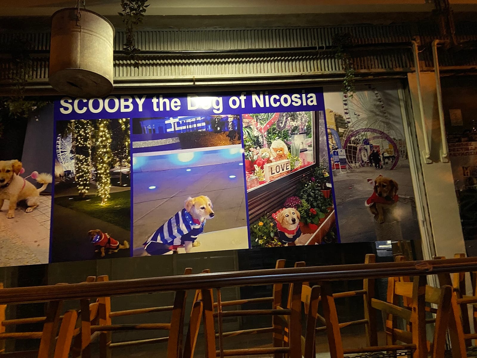 Halara Cafe photo 5