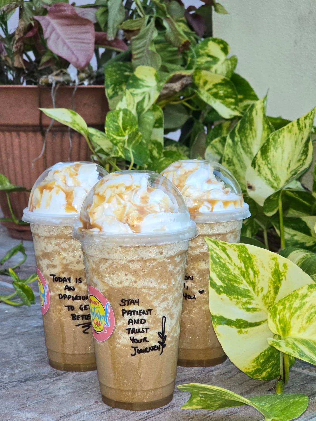 Marie's Natural Blend
