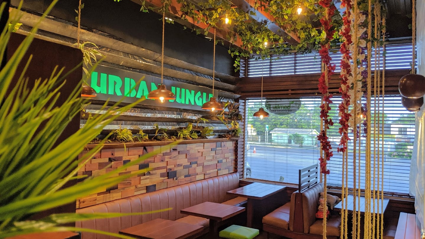 Bambu Belize