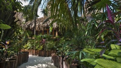 Tropic Al's photo 5