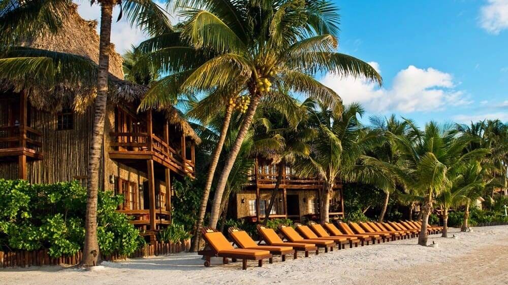 Tropic Al's photo 2