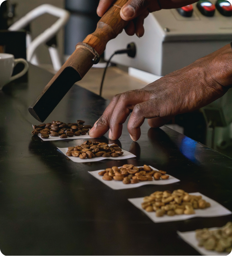 Slowtown Coffee Roasters - Windhoek CBD photo 4
