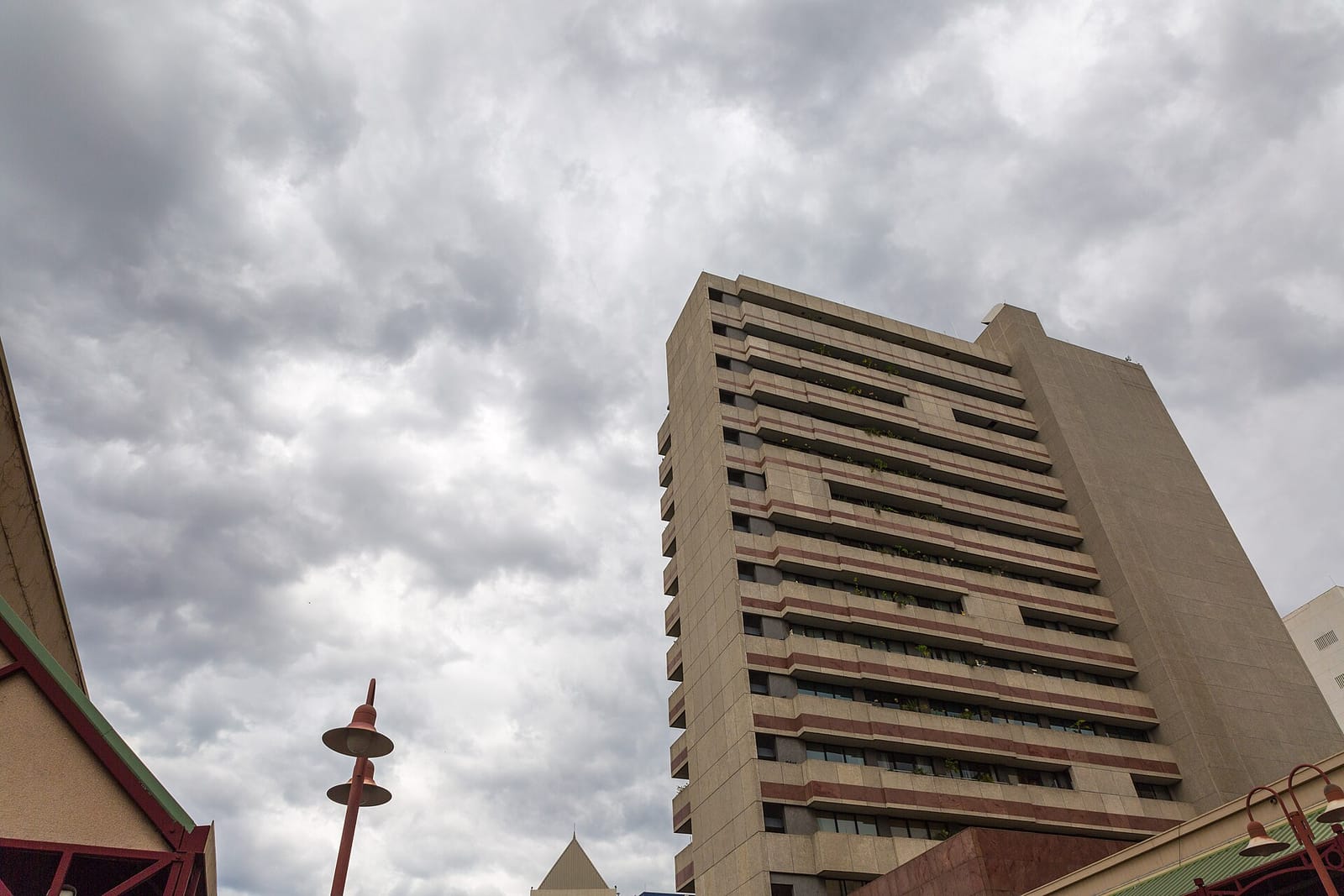 Shema CBD photo 2