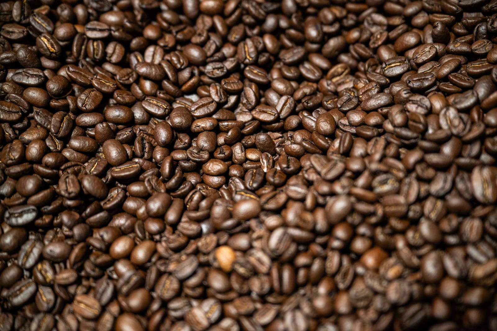 Dazbog Coffee photo 8