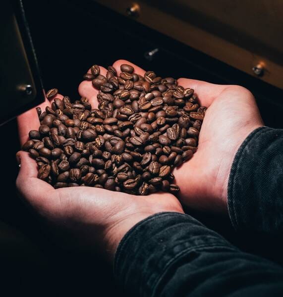 Dazbog Coffee photo 4
