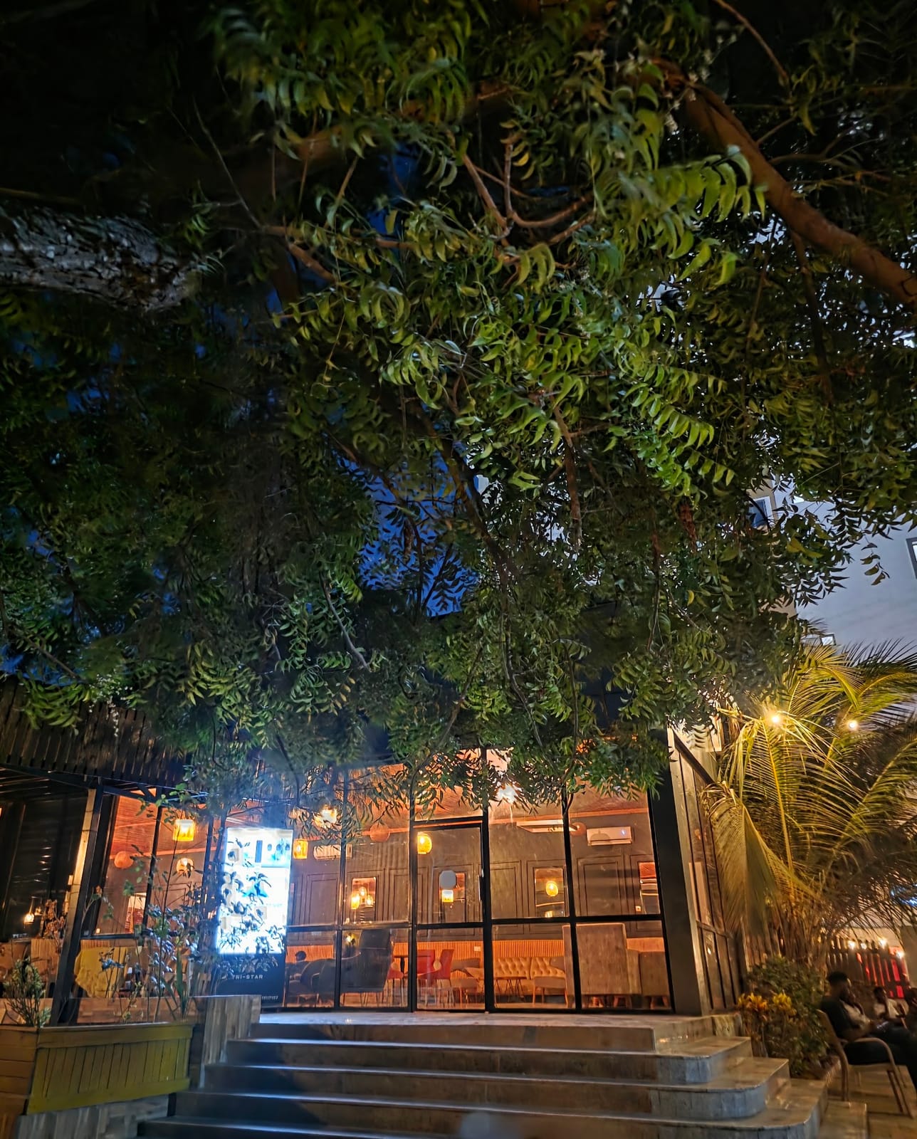 Havana