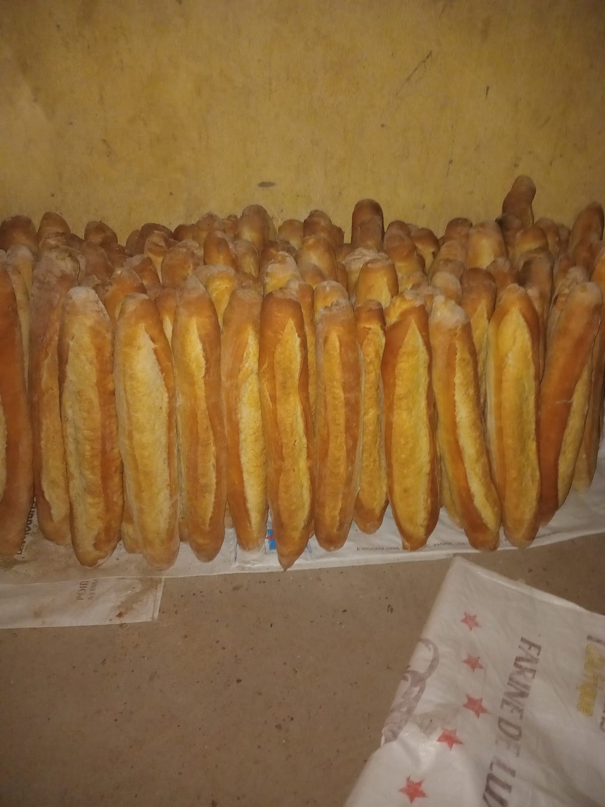 Morioulen