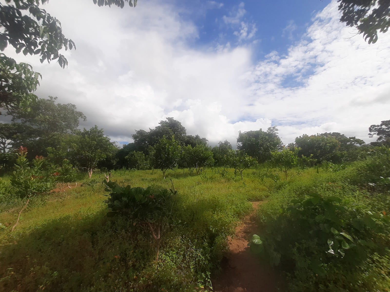 Kankan , Guinée