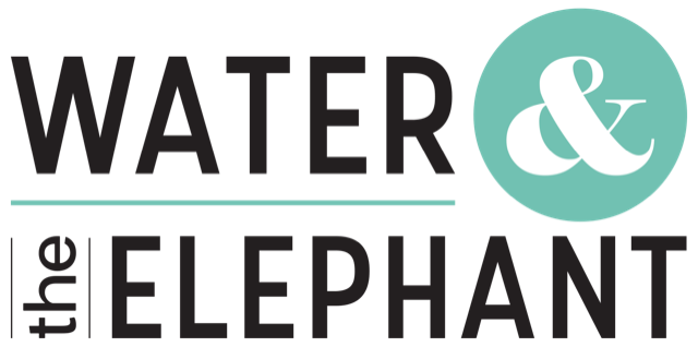 Water & the Elephant photo 2