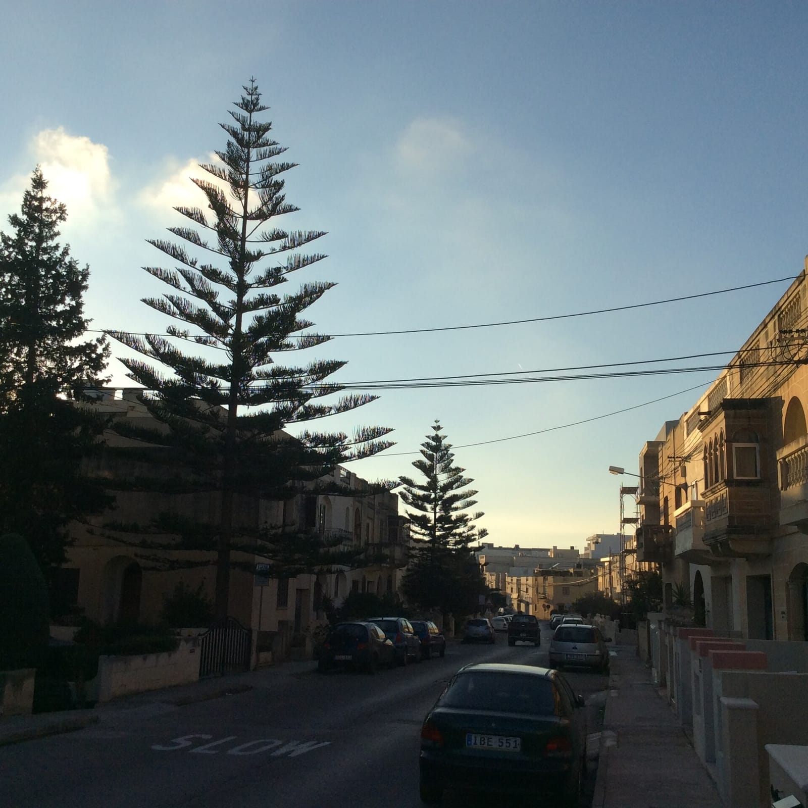 La Strada photo 4