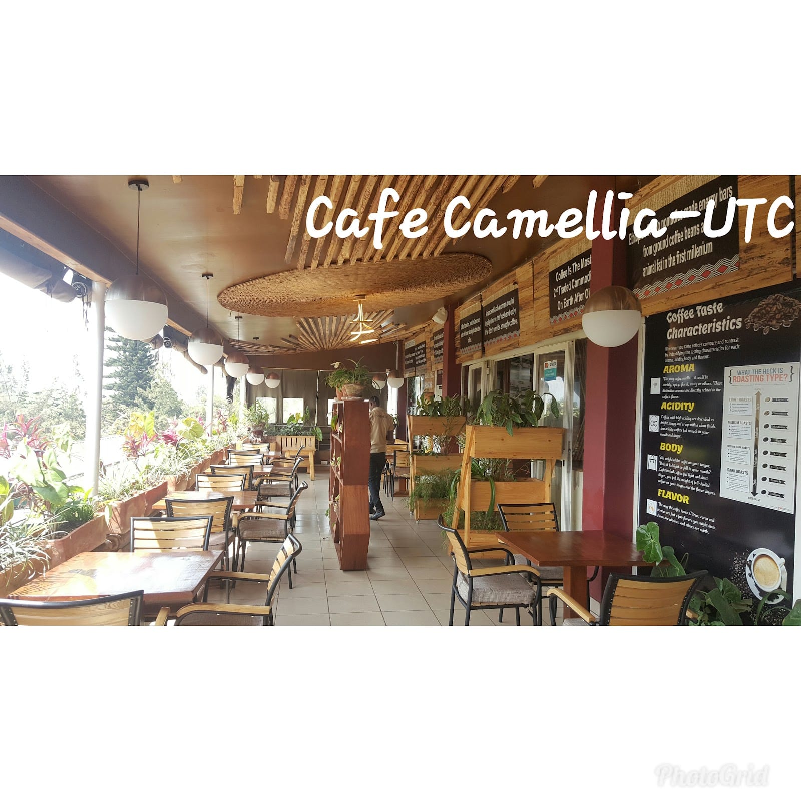 Café Camellia CHIC