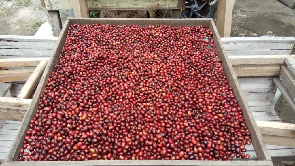 Jumpa Coffee & Roastery photo 3