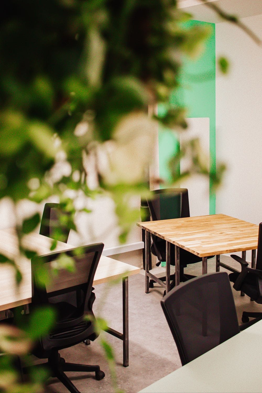 MASLOW - Café & Cuisine & Coworking photo 3