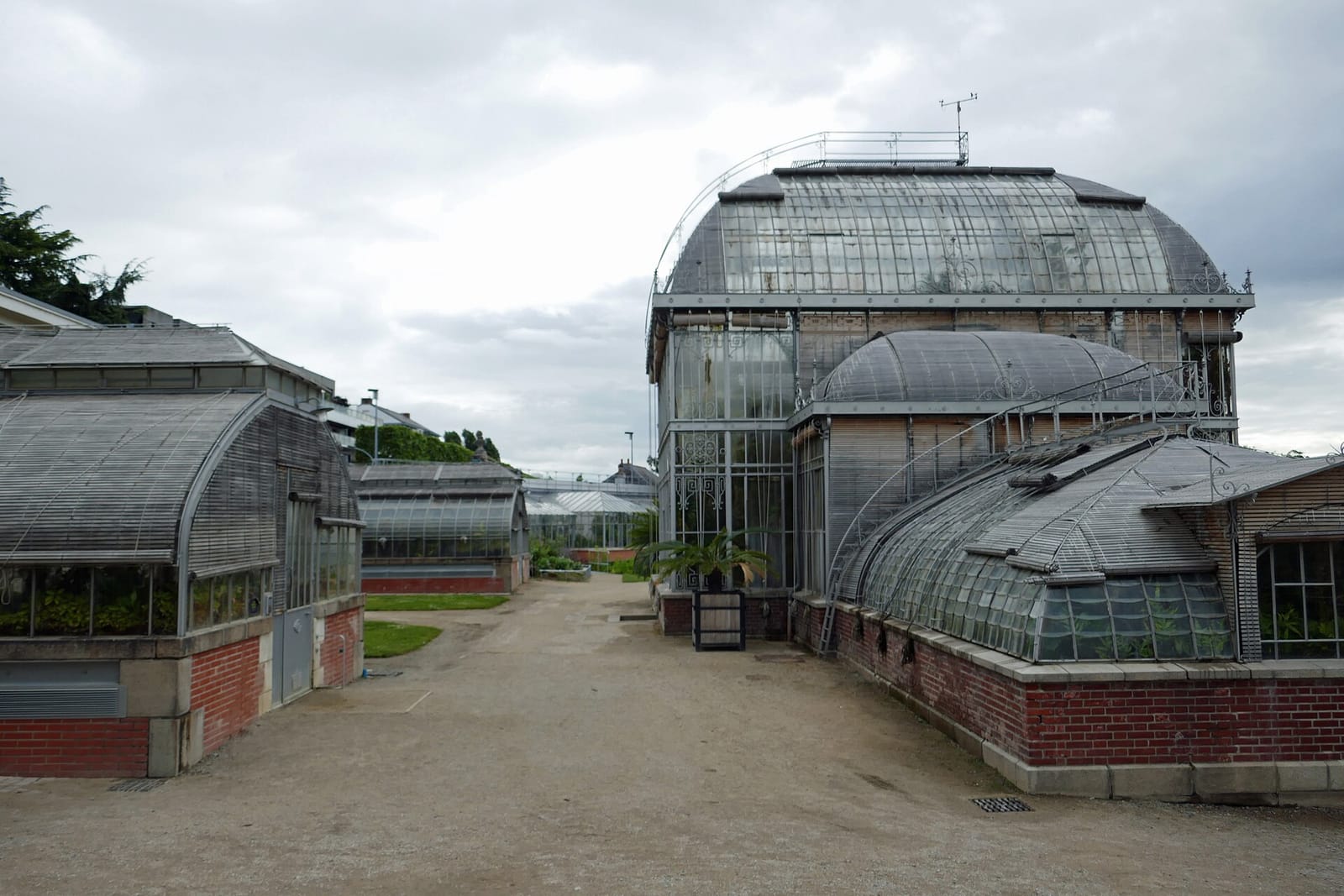 Le Café de l'Orangerie photo 2