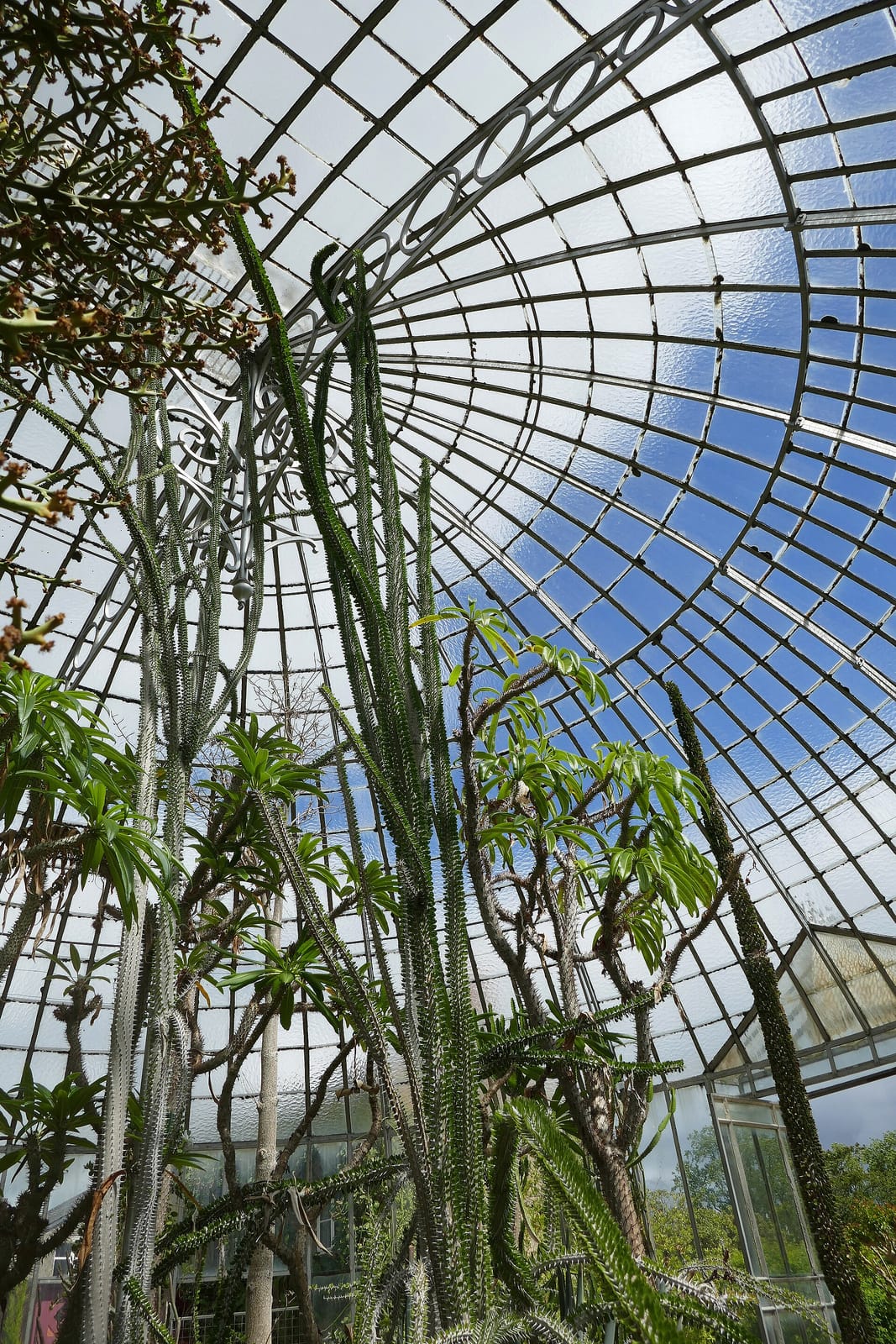 Le Café de l'Orangerie photo 5