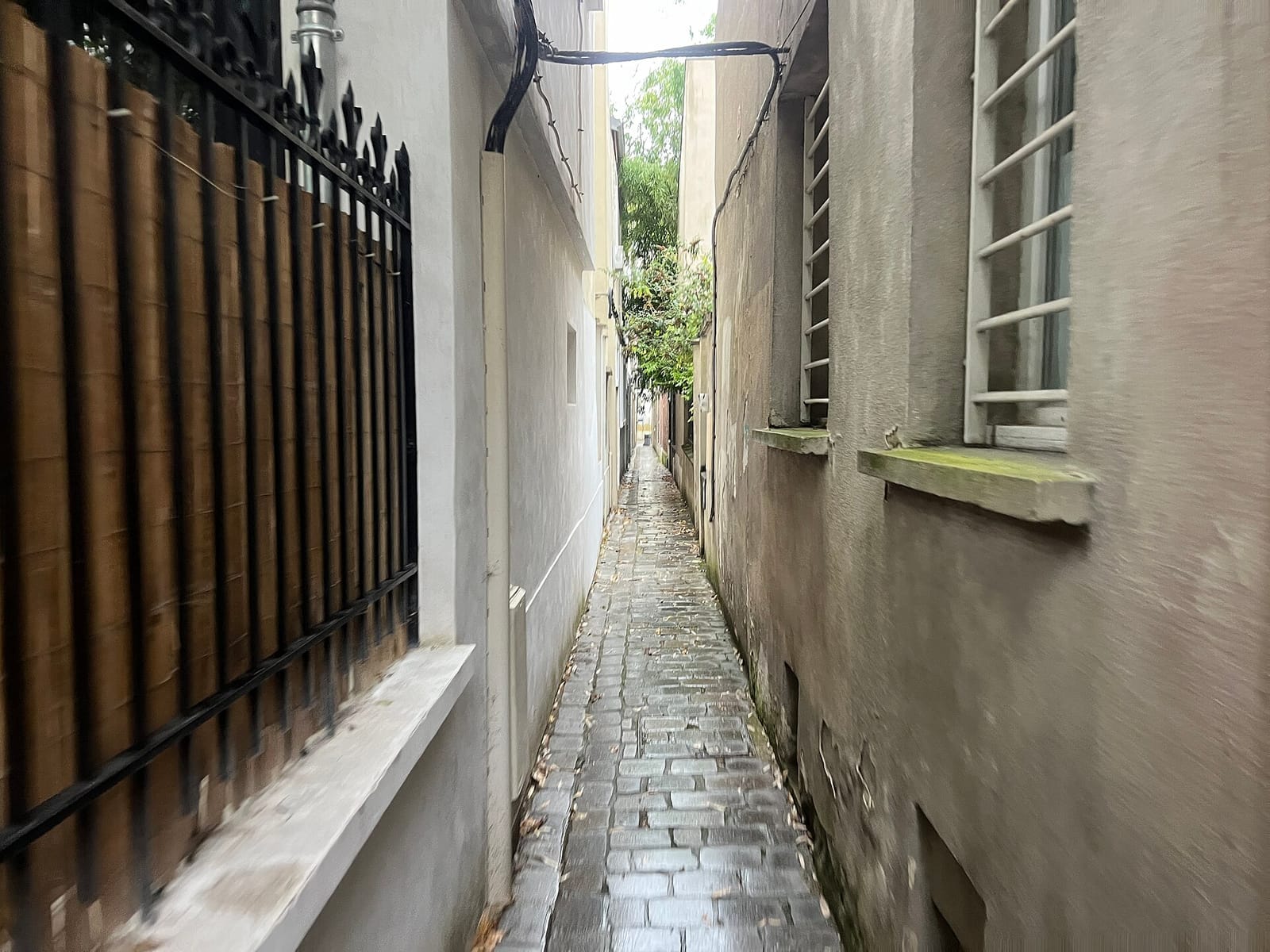 Pompom Chaumont photo 5