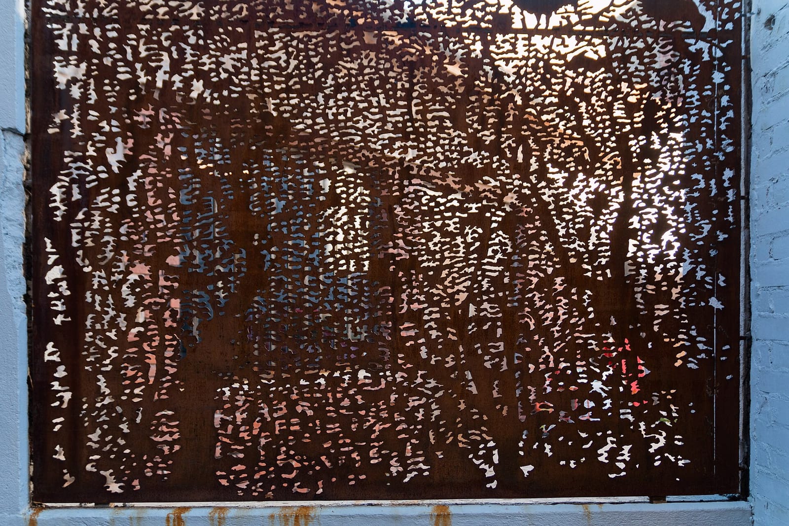 FAFÉ photo 4