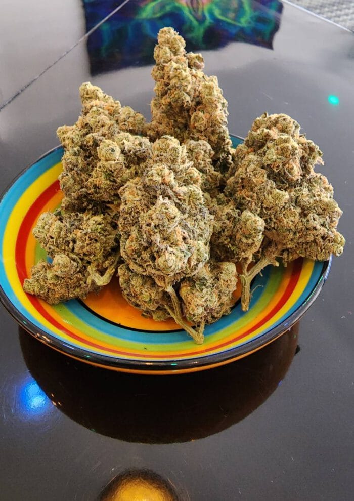 Coffeeshop-Amsterdam photo 9