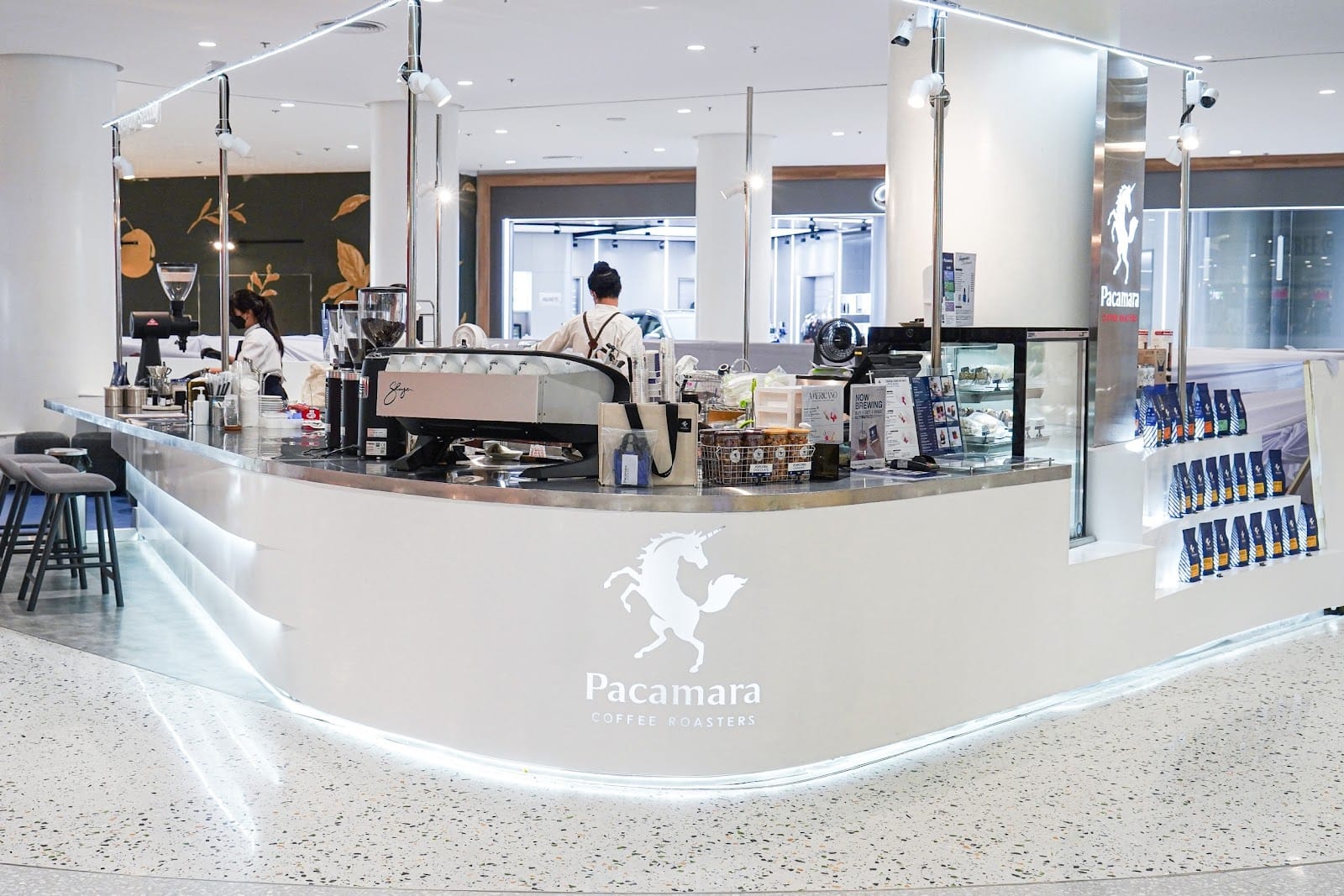 Pacamara Coffee Roasters Central Rama 2