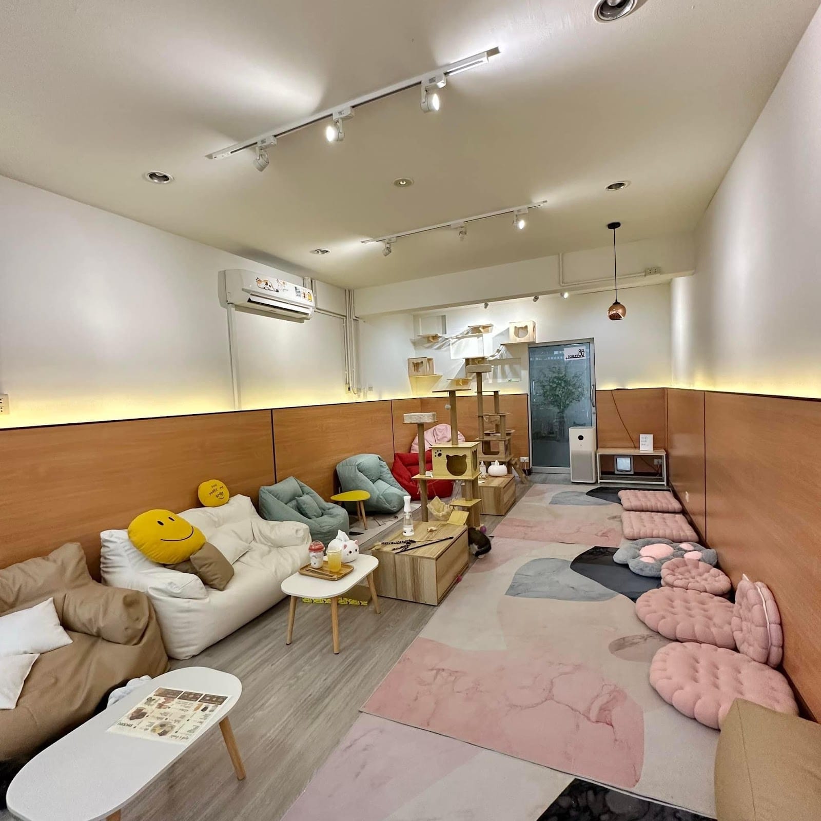 ❤️🐱SHUSHU🐱❤️ chilling-space (Cat Cafe)🐈