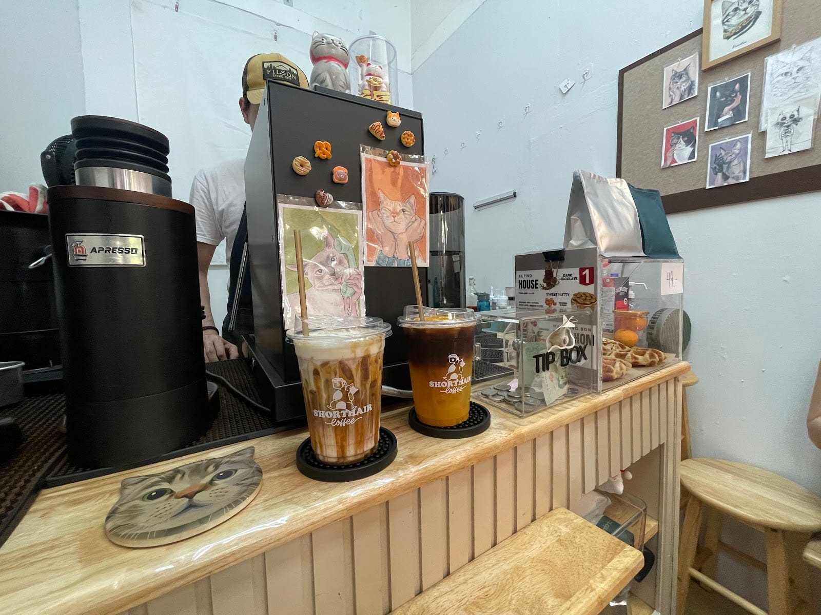 Shorthair Coffee