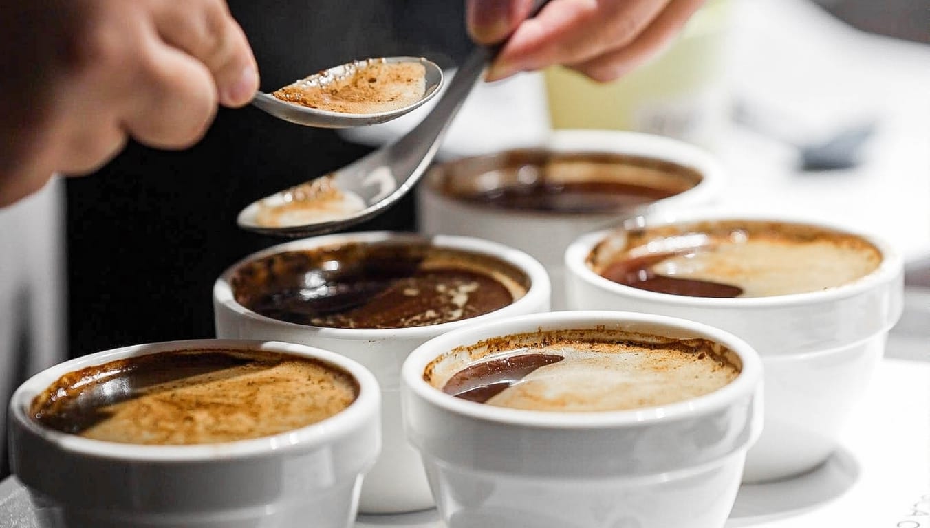 ​MoR Ministry of Roasters​ Chiang Mai photo 4