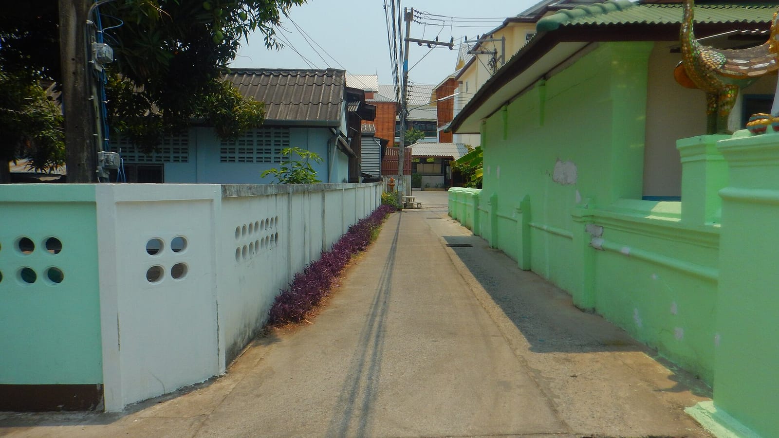 Bloomin' Moon Hostel, Chiang Mai Old Town photo 5