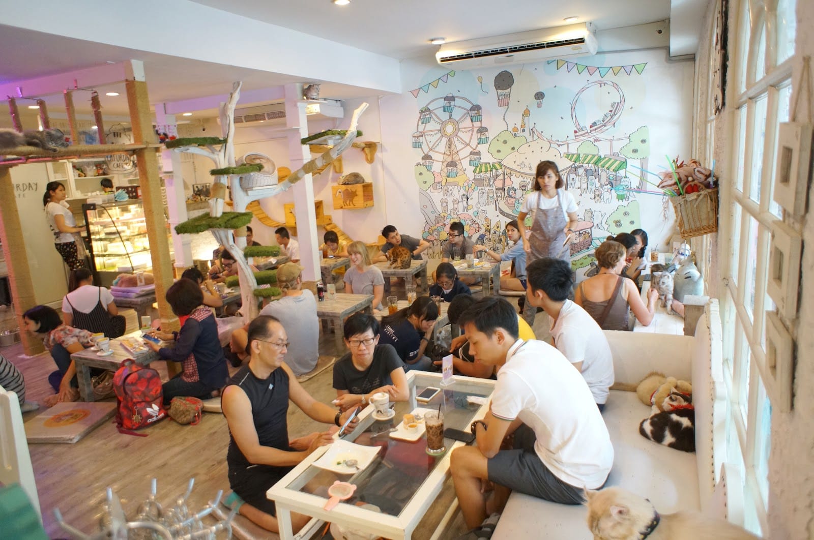 Caturday Cat Cafe