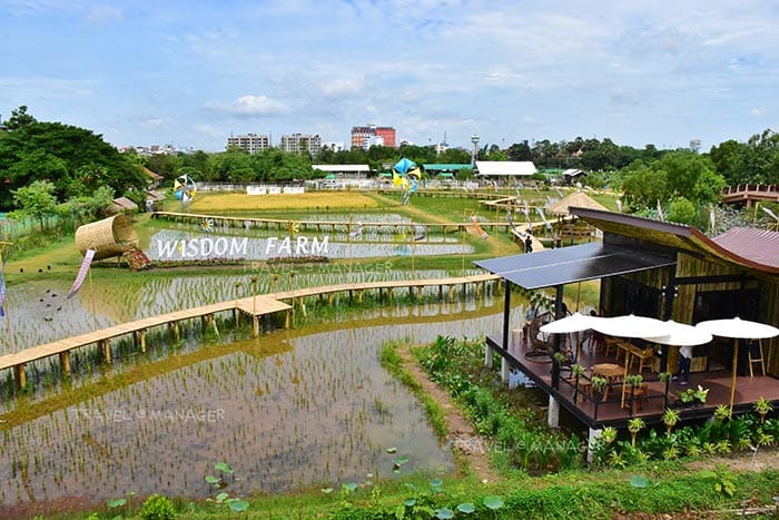 Wisdom King Cafe photo 2