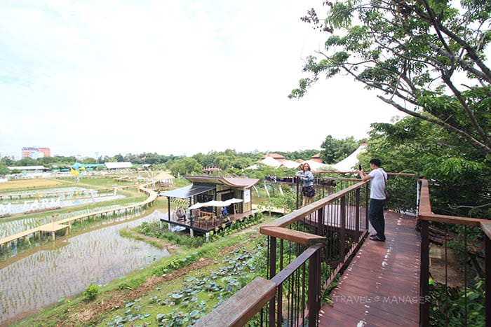 Wisdom King Cafe photo 8