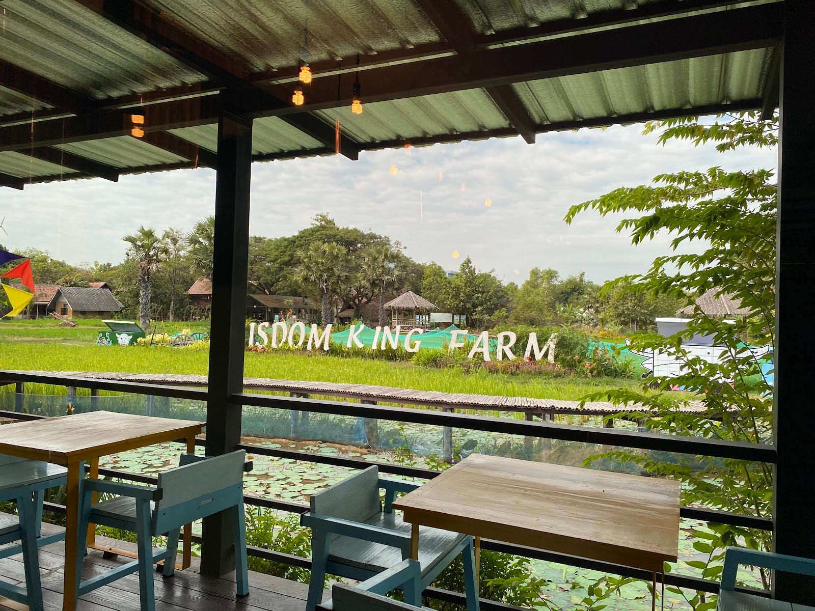 Wisdom King Cafe