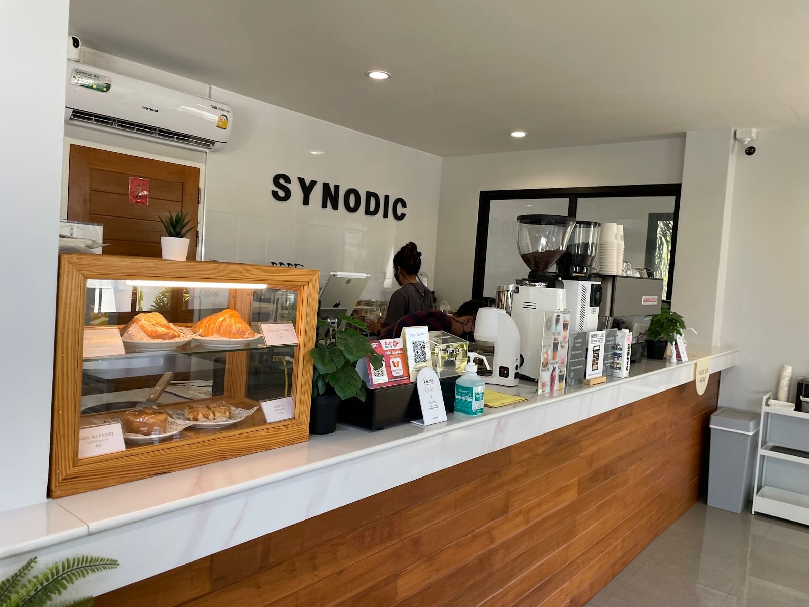 SYNODIC CAFE
