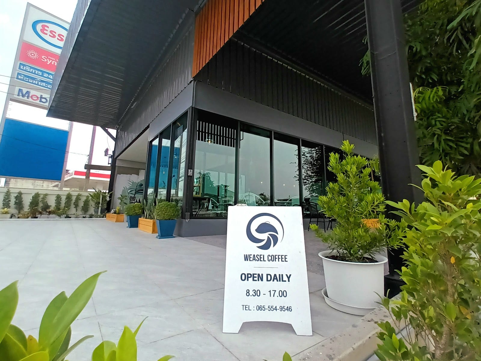 WEASEL COFFEE x เย็นยิ่ง Cafe & Play Space - กาแฟชะมด และบ่อทรายเล็กๆของเด็ก