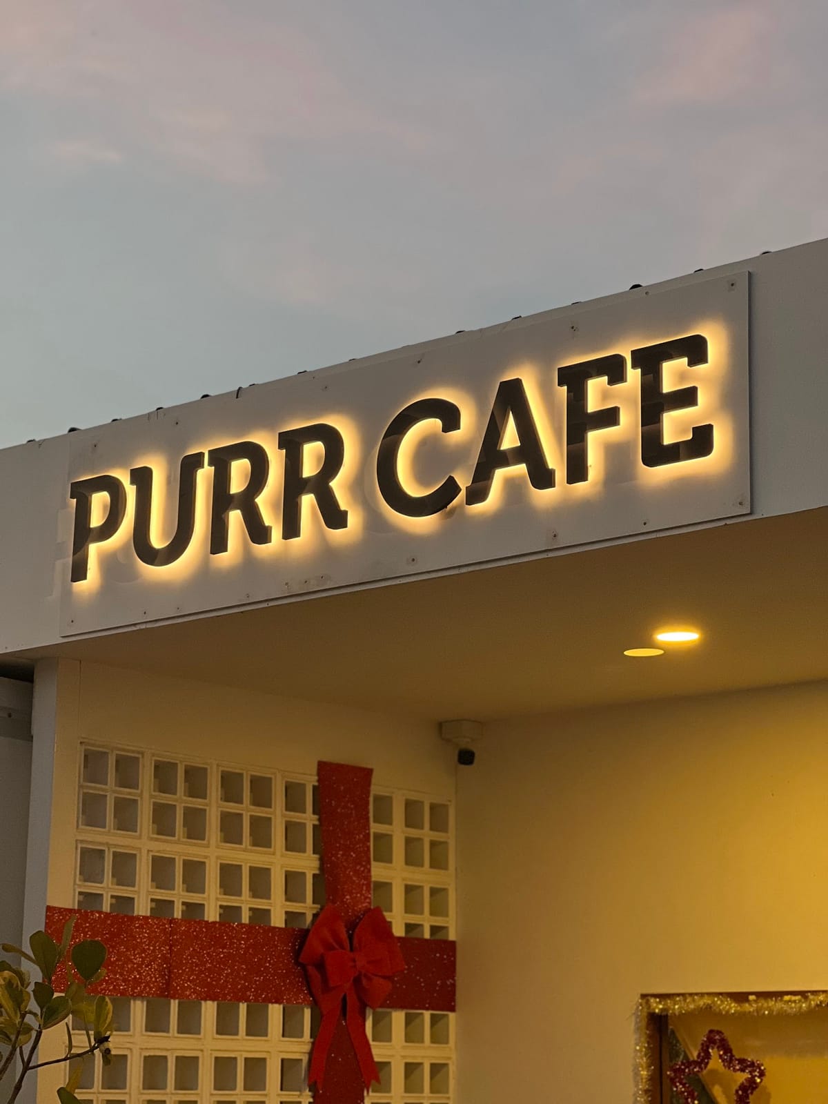 Purr Cafe