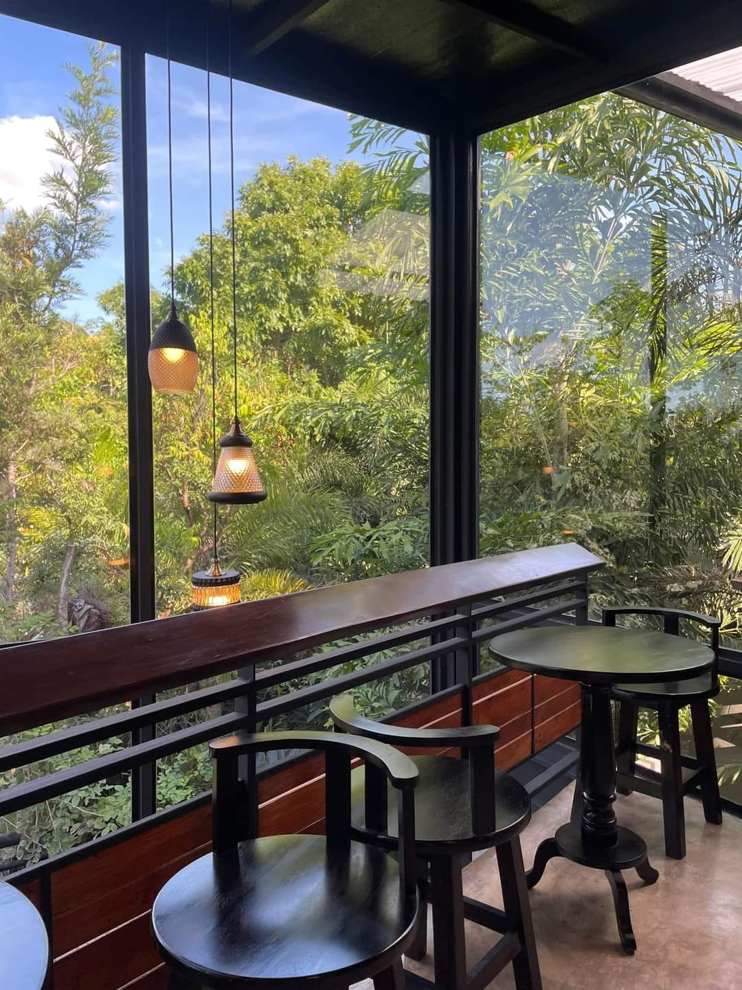 My forest cafe & Coffee Roasters