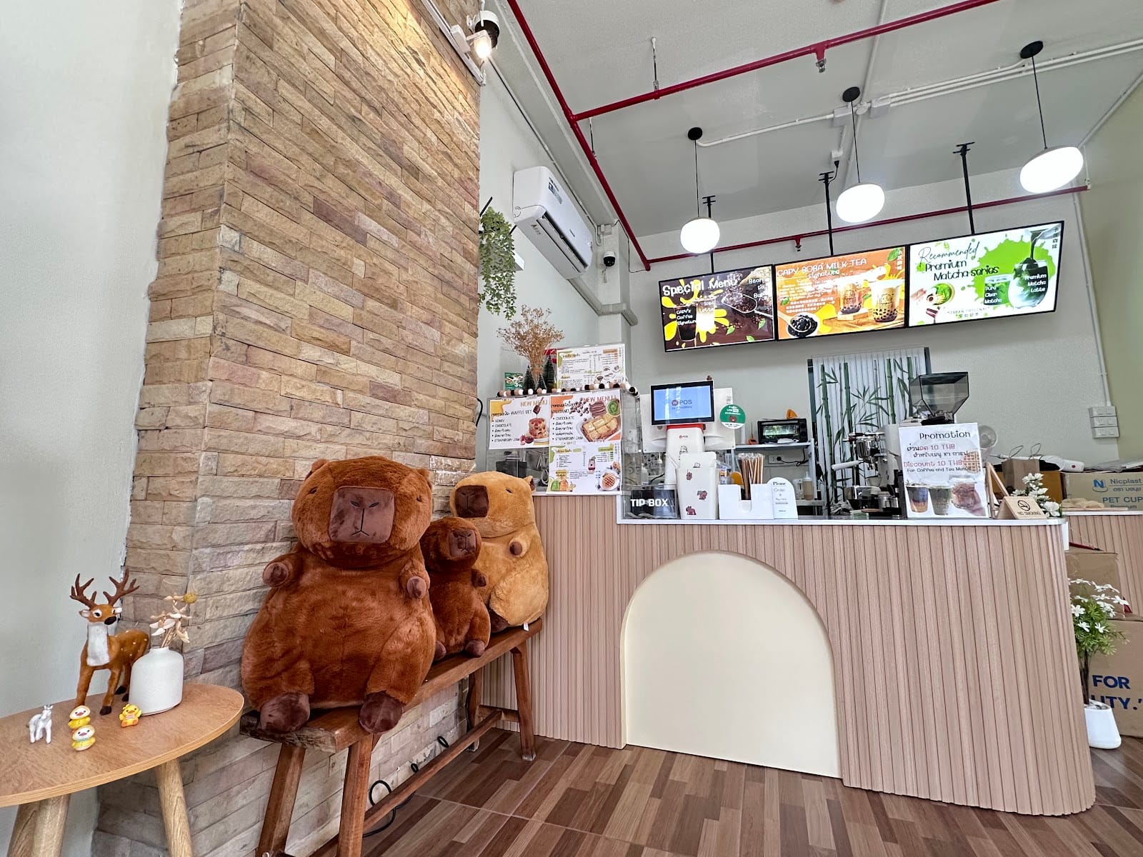 CAPYCAFFE