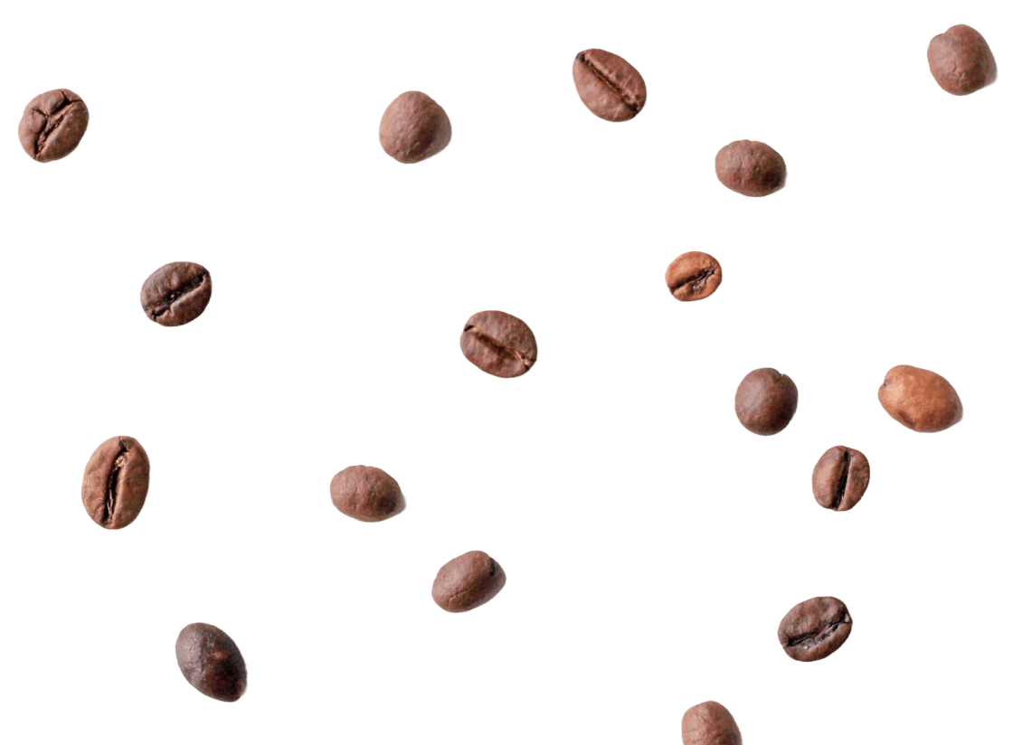 Kaizen Espresso Bar Sukhumvit 49 photo 2