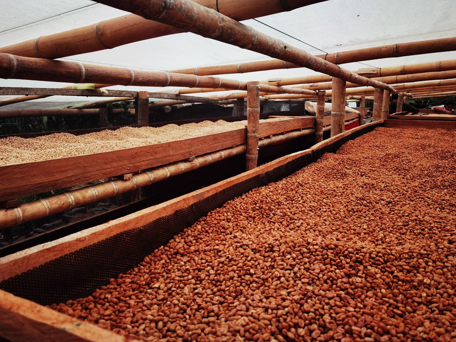 Trike Koffee Roasters photo 5