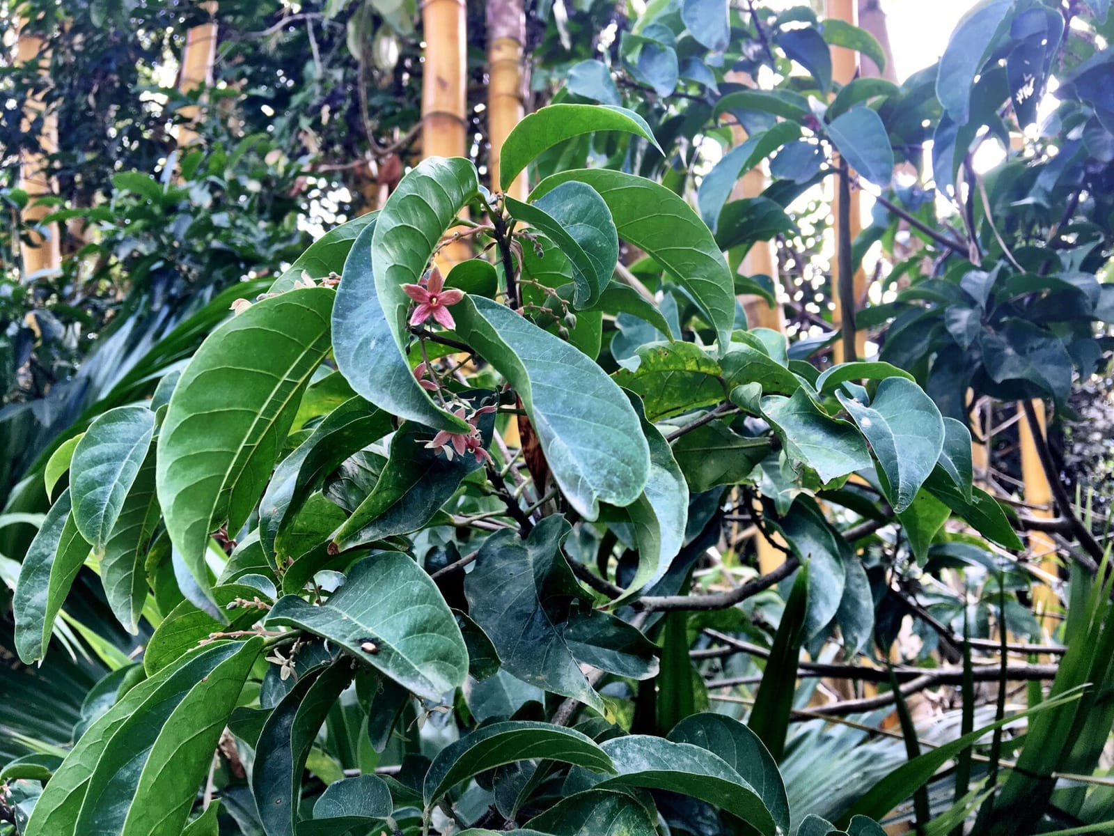 Wu Yee Sun College Café photo 4