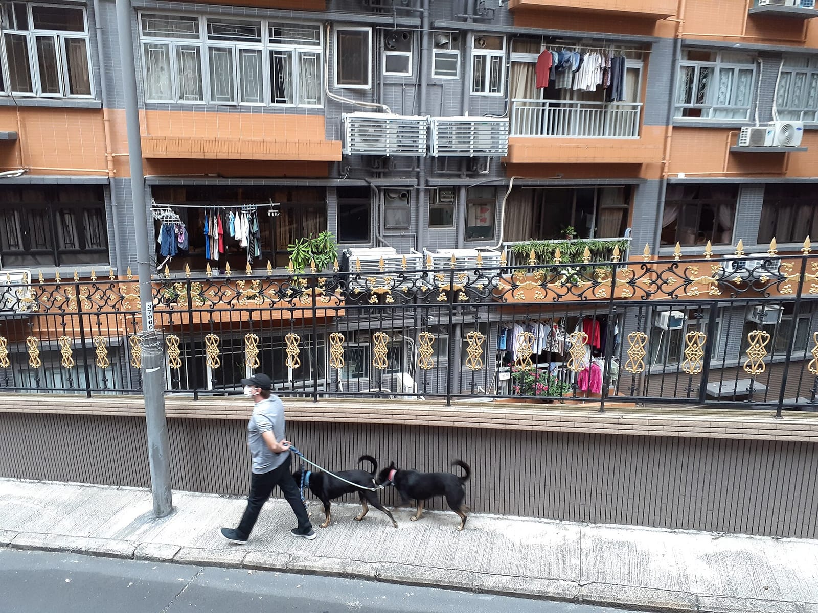Halfway coffee 半路咖啡 lyttelton Road photo 5